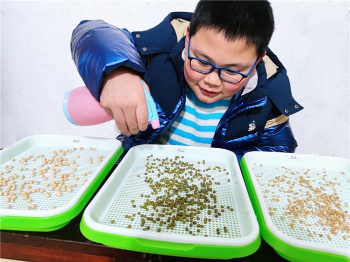 种植1.jpg