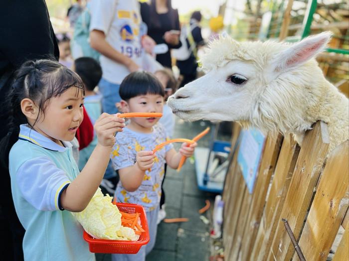 p9_副本.jpg p9_副本.jpg